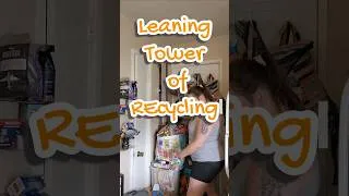 Thumbnail: chores I hate part 2. #singlemom #trashday #chores