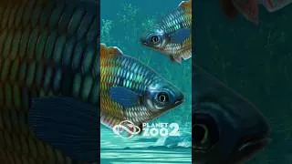 Thumbnail: One of Planet Zoo 2’s TINIEST New Animals! 🌈🐟