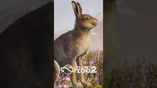 Thumbnail: Could Seasonal Coat Colors Be Coming to Planet Zoo 2? 🐇❄️