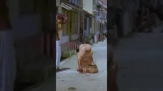 Thumbnail: Rukma Malayalam Movie shorts