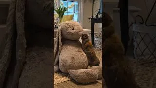 Thumbnail: Unboxing my baby’s GIANT rabbit jellycat