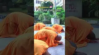 Thumbnail: Vesak Day 2026 🙏 A Peaceful Buddhist Celebration in Singapore 🇸🇬 (3-Step-1-Bow 三步一拜)
