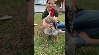 Thumbnail: Kids goofing off with Emerald the Rooster