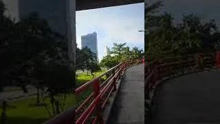 Thumbnail: I've  Conquered My Fear #fearofheights
