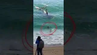 Thumbnail: Shark Attack