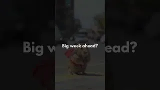 Thumbnail: Hamster’s got a backpack. Do you have accountability?