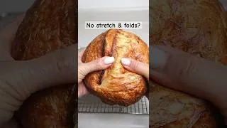 Thumbnail: What happens if you skip Stretch and Fold? No Knead Sourdough Recipe