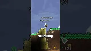 Thumbnail: he got POUNDED on terraria