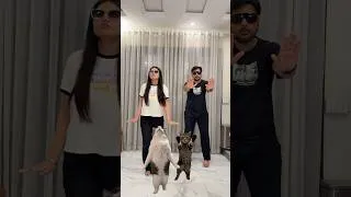 Thumbnail: Matching vibe at 4am 🤣😽. #sistrology #funny #iqreeb #trend #couple #shorts