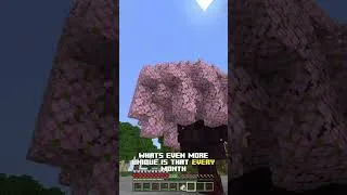Thumbnail: Some of the most unique areas in the city!