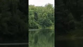 Thumbnail: Look what I spotted while fishing over the weekend! Truly beautiful!