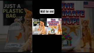 Thumbnail: You Won't Believe How This Tiny Kitten BECAME A POOL CHAMPION!  #video #cat