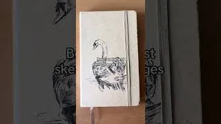 Thumbnail: ART SKETCHBOOK 📖 TikTok Compilation