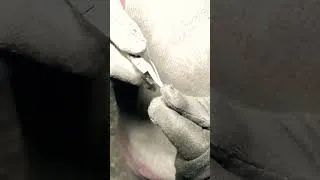 Thumbnail: #silverwire #aluminiumwire #extrusionprocess #amazingprocess