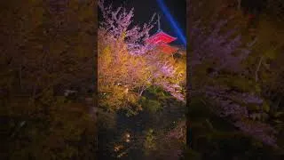 Thumbnail: Kyoto Japan really is another world...