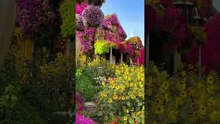 Thumbnail: Miracle Garden Dubai, #travelguide #travel #dubai2025