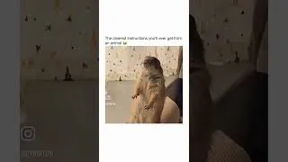 Thumbnail: Let me rub you down
