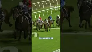 Thumbnail: THE NEXT EPISODE is one of Australia's most exciting horses and his target is the Coolmore! 👀