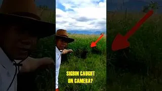 Thumbnail: SIGBIN Caught on Camera?