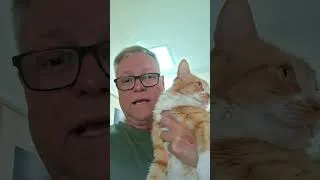 Thumbnail: Thank you for making this year unforgettable #newyear #grateful #catlover #pets