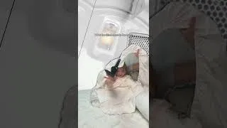Thumbnail: What your fitted sheet does when you're not looking #laundrystruggles #relatable