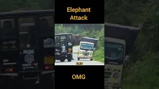 Thumbnail: Elephant attack a small lorry.☠️🐘😱#shorts