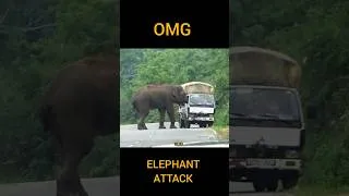 Thumbnail: Elephant attack a lorry.😱🐘#shorts