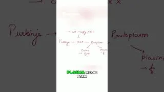 Thumbnail: Protoplasm Explained  The Cell Without a Cell Wall #educationalshorts #scienceshorts #neet #biology
