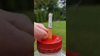 Thumbnail: What goes into your lungs when you smoke a PACK of cigarettes?