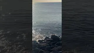 Thumbnail: Wild Atlantic Shore 🌊 | Ireland’s Breathtaking Coast #shortsvideo