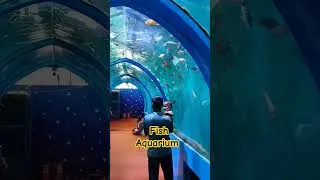 Thumbnail: fish aquarium vaijag #sm6tv