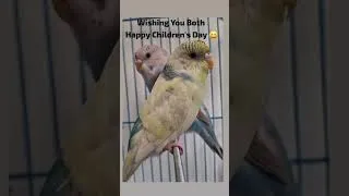 Thumbnail: Throwback: Celebrating Children's Day with Kaluya & Hariya! 🥺🎈 #Budgie #Throwback