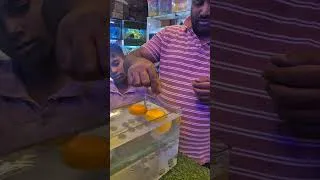 Thumbnail: Coin Challenge ✨✨ #ytshorts #fish #exoticaquariumfish #aquarium#viral#fishtank #trendingsongs#games
