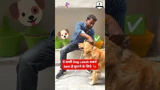 Thumbnail: Best Strong Dog Leashes 🐕 Collab with ClusterKart #dogshorts #dogs #viralshorts #smartdogstraining