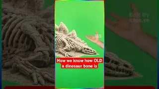 Thumbnail: How we know how OLD a dinosaur bone is..