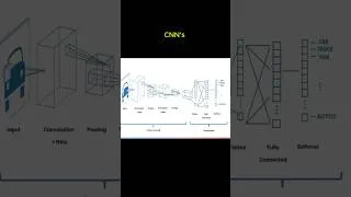 Thumbnail: How CNNs Identify Objects | Convolutional Neural Networks Explained #machinelearning #datascience