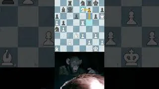 Thumbnail: A Knight's Tale .. but it's chess  #chessmeme #chessgamer #chess