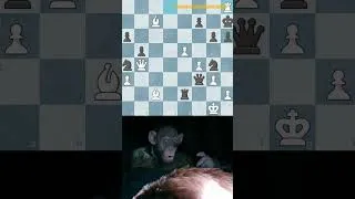Thumbnail: And he sacrificed THE ROOOOK!!!! #chessmeme #chessgamer #chess
