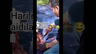 Thumbnail: lembu korban hari raya Aidil Adha 2026🕋🎇😂🫪