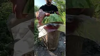 Thumbnail: #survival #campping #bushcraft #food #tricks #experiment