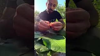 Thumbnail: How to Stay Cool in Extreme Heat 🥵 #survival #campping #bushcraft #summer #heat #cool #outdoor