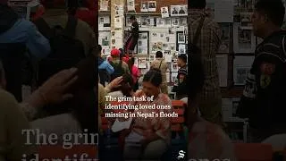 Thumbnail: At first, the smell is overwhelming. Then, they open the book of the dead