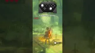 Thumbnail: How to get the Master Sword Early without 13 hearts in 40 seconds! - Shorts Version