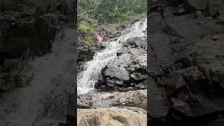Thumbnail: Nature / water fall ￼#shorts