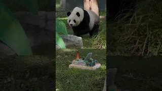 Thumbnail: Inside the National Zoo’s Kitchen