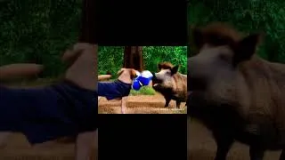 Thumbnail: What's wrong with this dog guys? #apple #dog #memes #funny #animals #ai #shortsviral