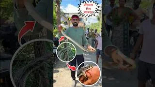 Thumbnail: বিরাট সাপের ছোবল খেলাম আবার! ভয়ঙ্কর তার সাইজ! শেষমেশ কি হলো? Snake Bite Video #snake #rescue