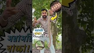 Thumbnail: মায়ের দুধ খেয়ে বড় হয় এই সাপ? শুনলে অবাক হবেন আপনিও! Breastfeeding Snake ? Amazing Facts! #snake