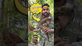 Thumbnail: অজগর সাপের পাঁচটি তথ্য যা জানলে অবাক হবেন আপনিও! ময়াল সাপের এই তথ্য গুলি আপনি জানতেন? #facts