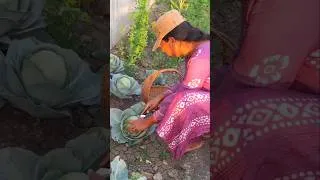 Thumbnail: Daily Motivation for Woman #hindimotivation #minivlog #womenmotivation